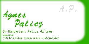 agnes palicz business card